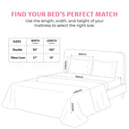 Bloom Double Bedsheet, 100% Cloud Cotton, 240 TC, 2 Pillow Covers